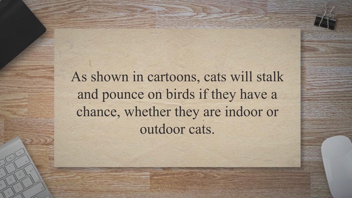 Do Squirrel Proof Feeders Work? - Feeding Nature