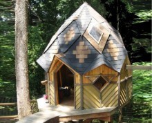 4 Unbelievable Squirrel House Designs