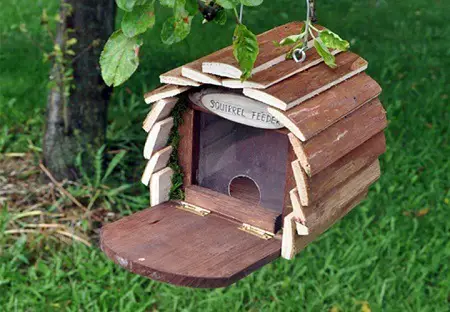 squirrel nesting house