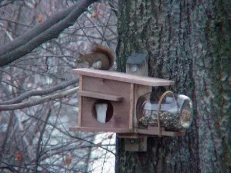 nesting and feeding house for squirrels