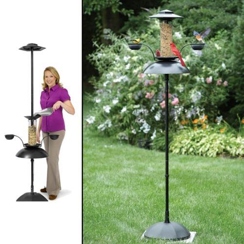 Top Three Best Squirrel Proof Bird Feeders In 2015