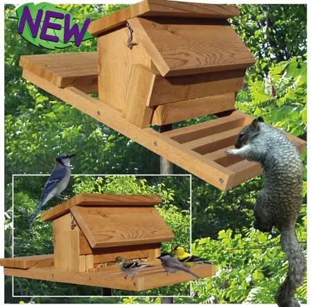 Homemade Squirrel Proof Bird Feeder Plans FeedingNature.com