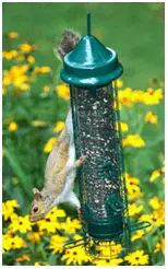 Squirrel Proof Bird Feeder Pole Baffle System 