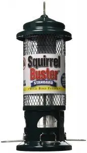 squirel buster