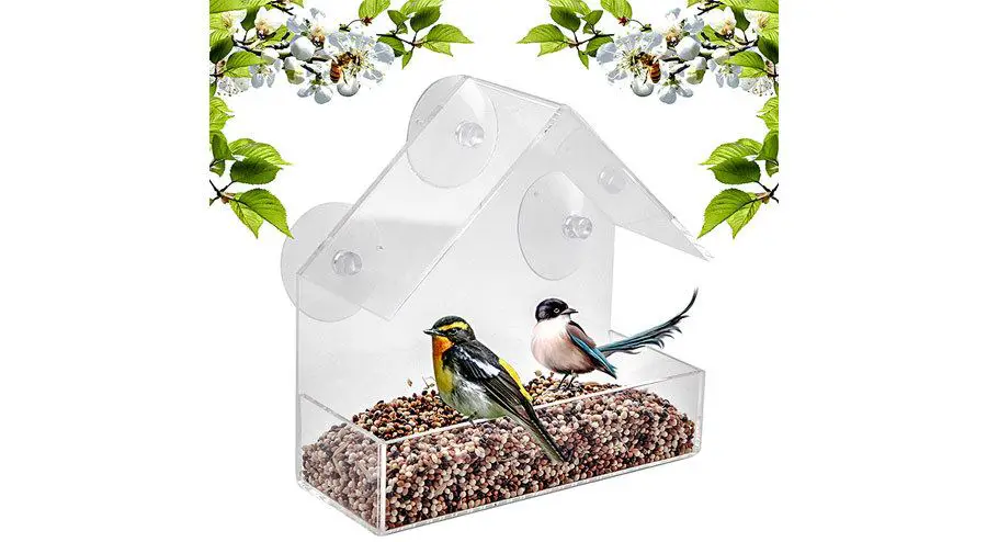 best window bird feeder for cats