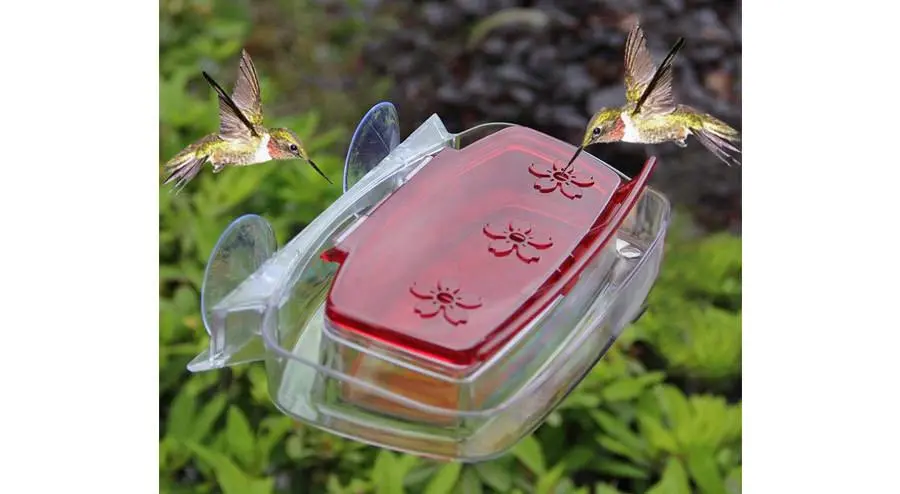 Maggfit Hummingbird Window Feeder
