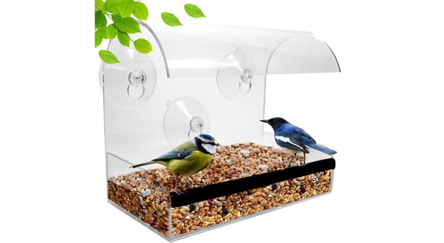 Natupics Acrylic Window Bird Feeder