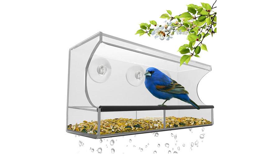 Nature’s Hangout BEST WINDOW BIRD FEEDER