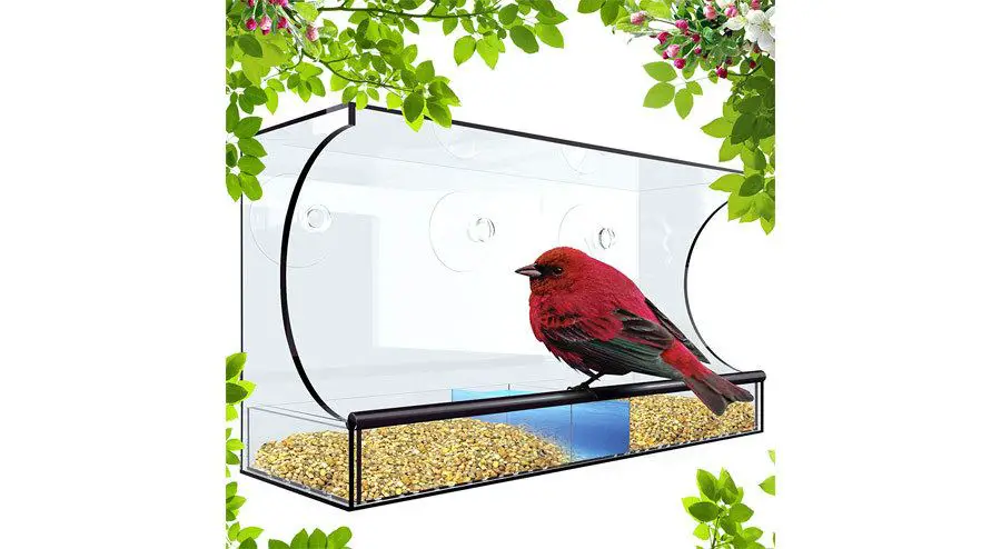 best window bird feeder reviews