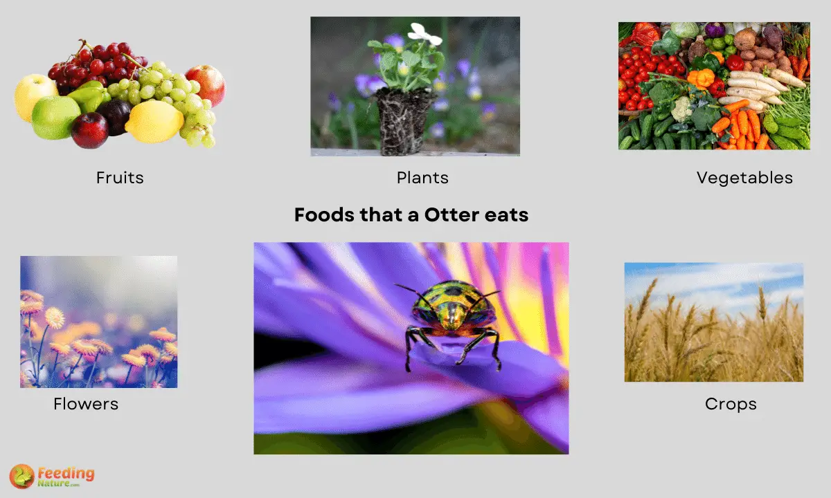 What Do Bugs Eat [Diet & Facts]