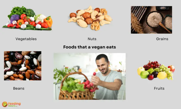 what do vegans eat