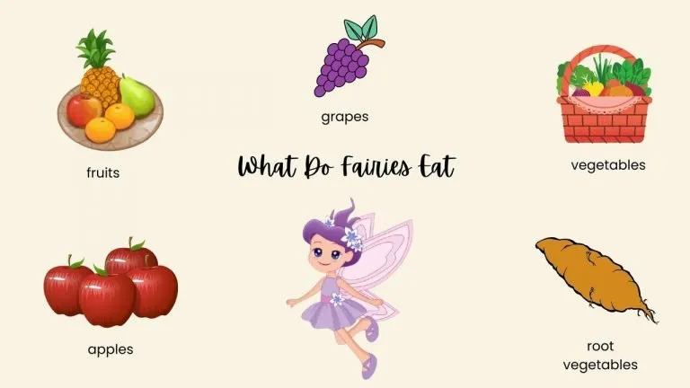 What Do Fairies Eat