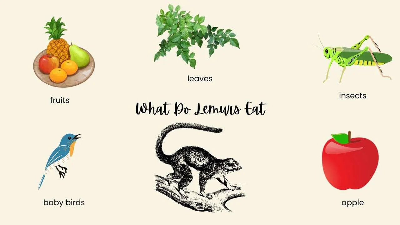 What Do Lemurs Eat?