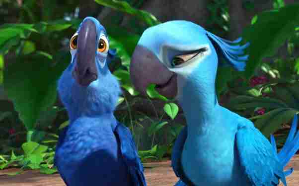 blue spix macaws were featured in movie RIO